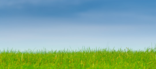 nature, herbe verte, ciel bleu paysage panoramique © Olivier Le Moal