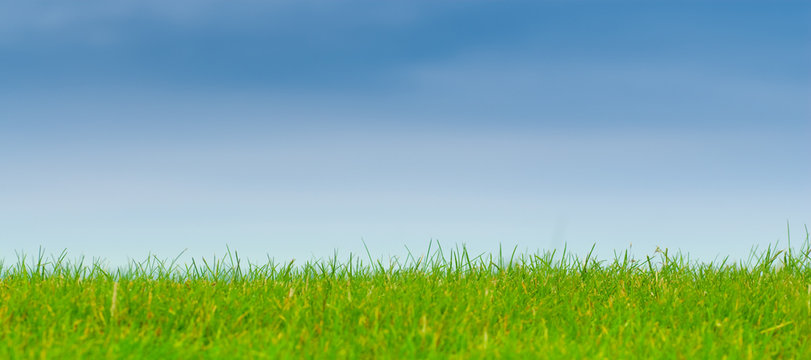 nature, herbe verte, ciel bleu paysage panoramique