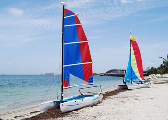 catamarans on a key biscayne beach
