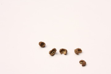 Sichuan pepper