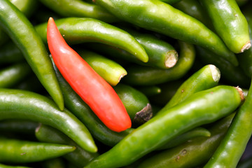 Piment rouge et piments verts