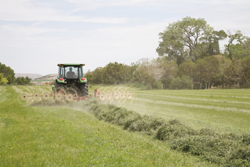 Obraz premium Tractor with hay rake