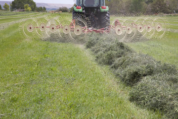 Obraz premium Tractor with hay rake