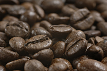 coffee beans_006