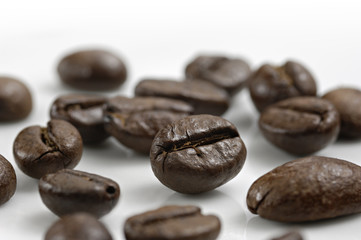 coffee beans_007