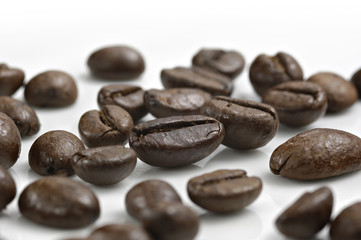 coffee beans_008