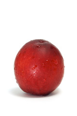 Obraz premium nectarina