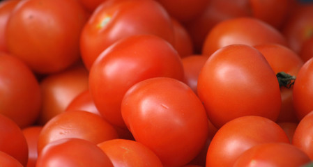 tomatoes
