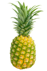 Fototapeta premium pineapple