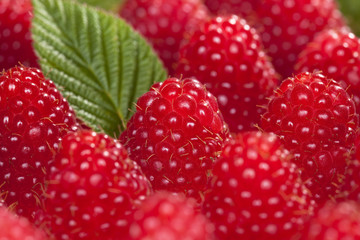 raspberry with leaves  background, shallow DOF