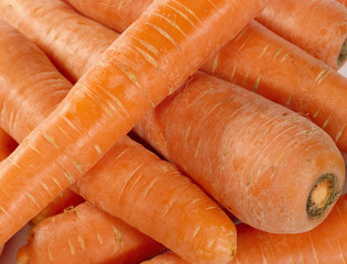 fresh taste carrots as food background. not isolated