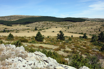 causse de sauveterre-lozère