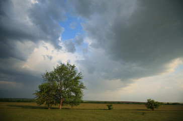 Stormy clouds over meadow