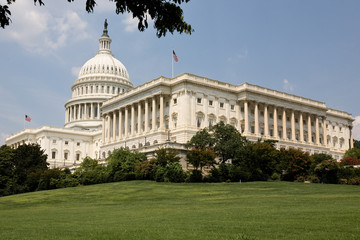 Obraz premium Kapitol in Washington DC