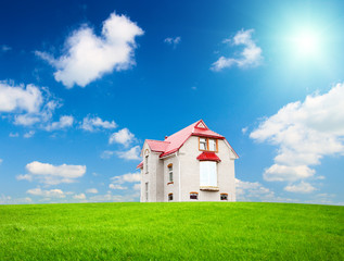 green field and house