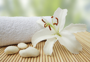 wellness still life pebbles and white lily