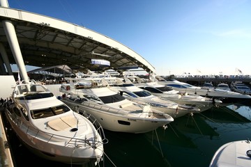 Maxi Yacht