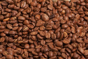 coffee grain