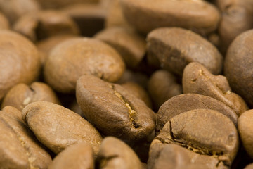 Coffee Bean 2
