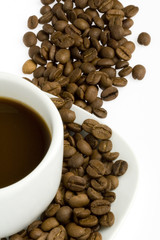 Coffee Bean and Cup 4