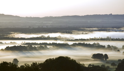 nebel am morgen