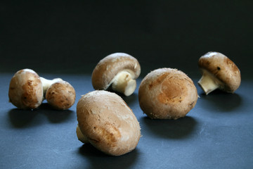 Braune Champignons verstreut