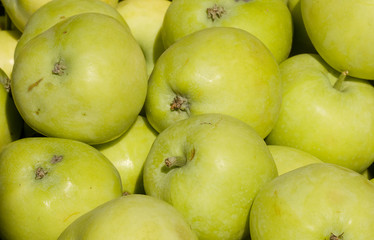Green apples