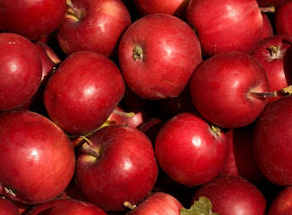 Red apples