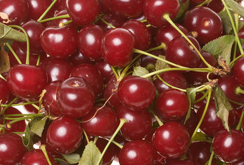 Cherry as background