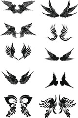 set of angel wings collection