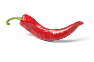 chile pepper