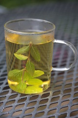 Mint tea