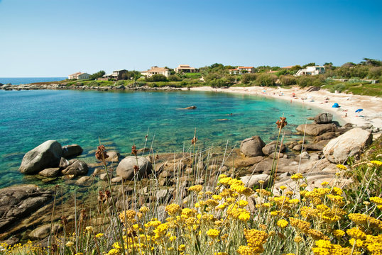 Corsica