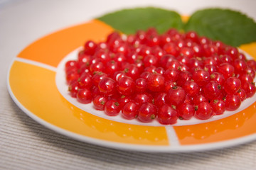 red currants