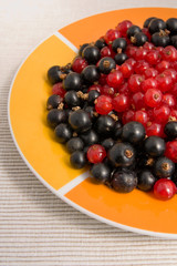 red and black currants