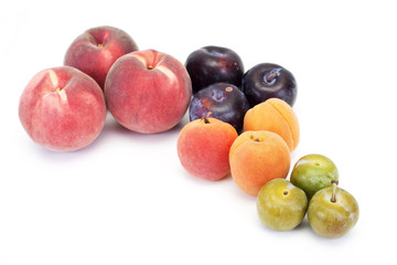 fruits - 15972553