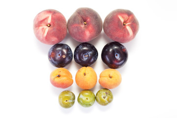 fruits