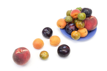 fruits