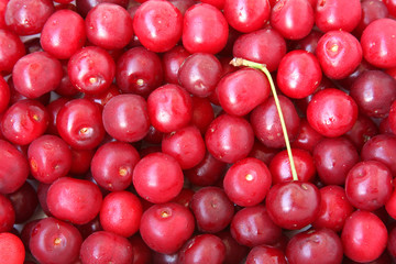 Cherries