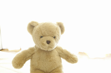 クマのぬいぐるみ