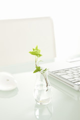 ノートパソコンと観葉植物