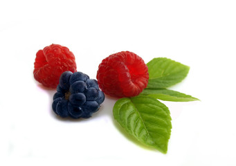 raspberry,blackberry,isolated