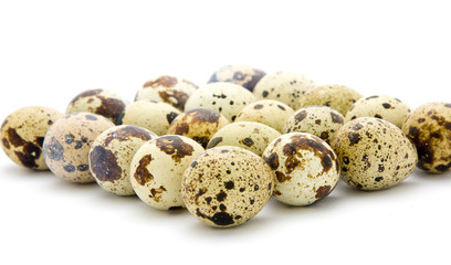 Quail eggs