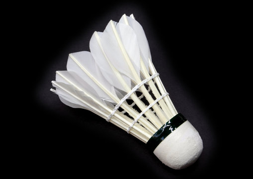 Shuttlecock