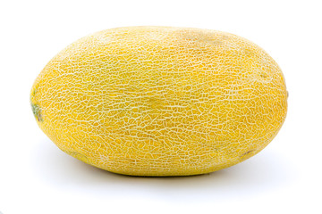 Melon on a white background