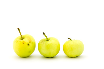Ripe apple on a white background