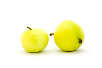 Ripe apple on a white background