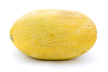 Melon on a white background