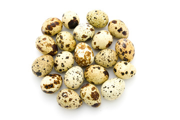 Obraz premium Quail eggs