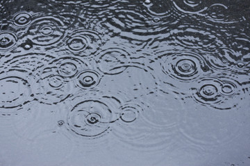 雨